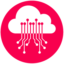 CDN-Icon
